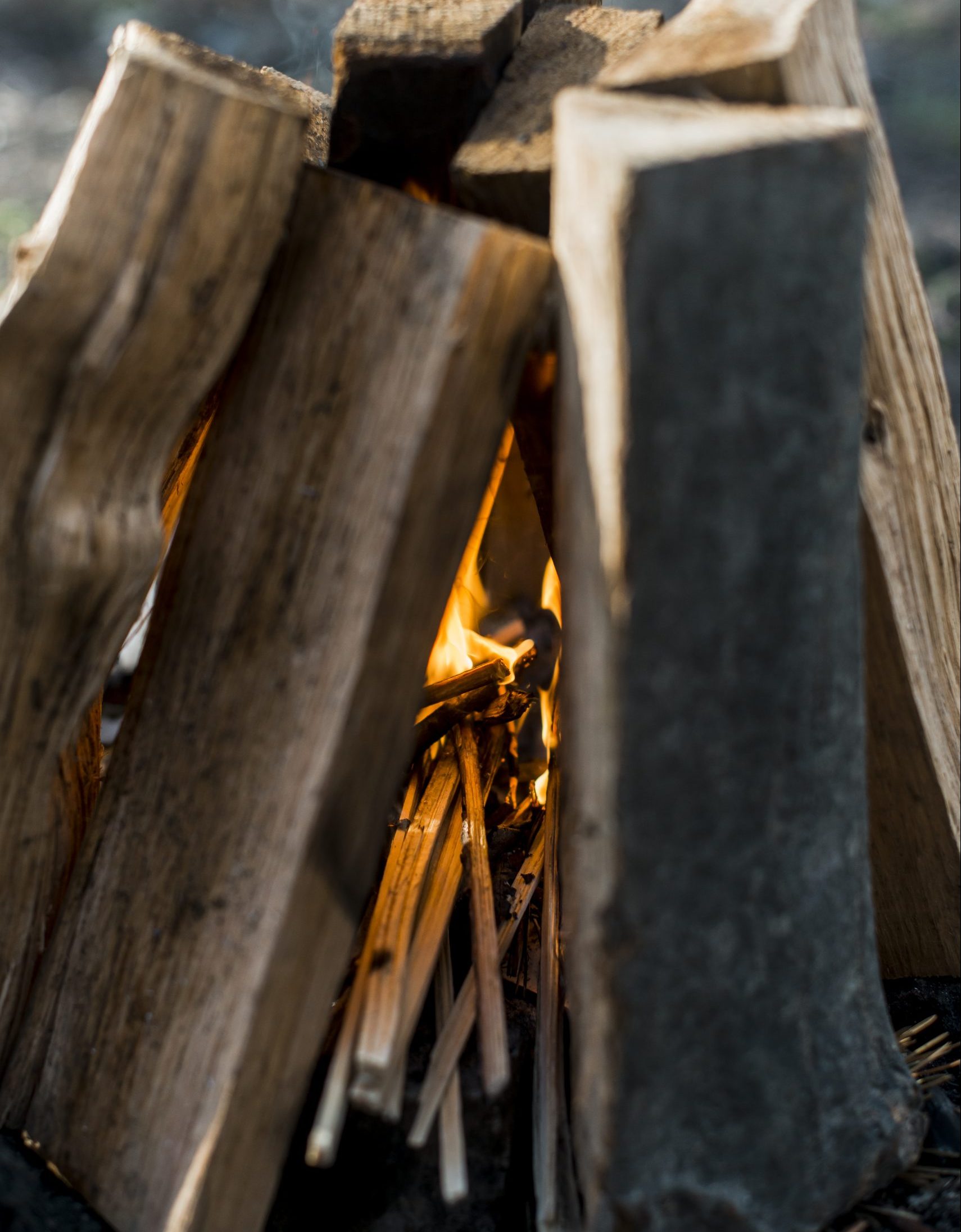 bois de chauffage