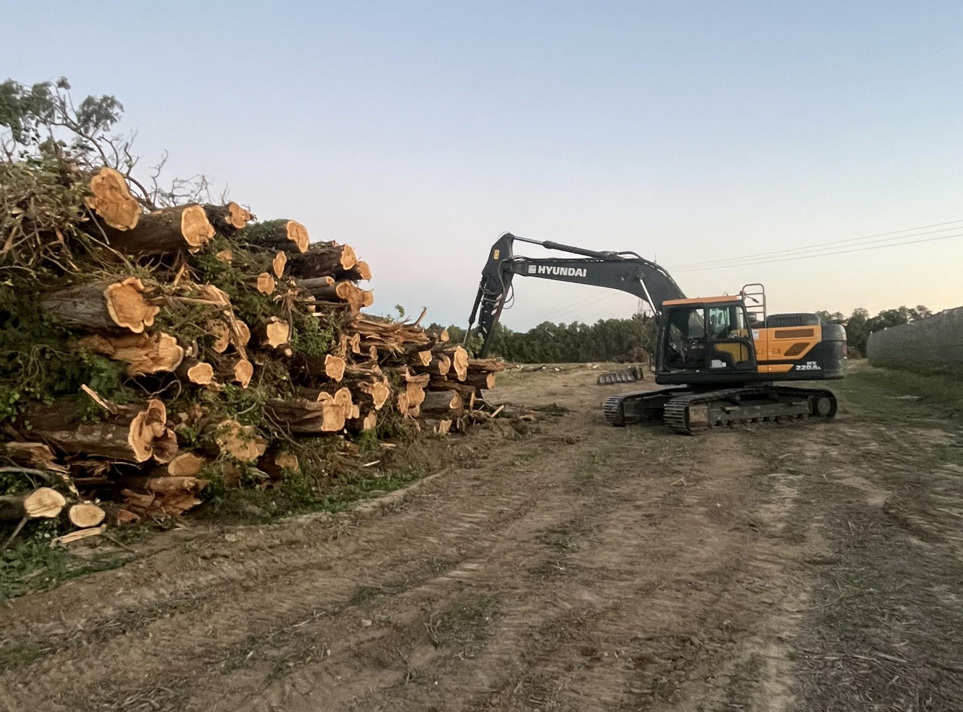 Travaux Forestiers Contacter Nouveau Elagage